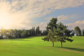 Charming grassy lawns