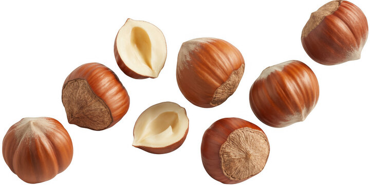 Hazelnuts and hazelnut kernels floating on black floating hazelnuts isolated on a transparent background