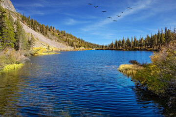 The water in the lake