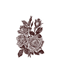 vintage floral background