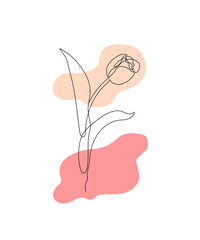 hand holding pink rose