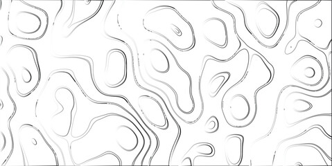 Fototapeta premium Grayscale abstract contour map pattern with organic fluid shapes and textured swirling lines creating a dynamic and flowing visual background for design