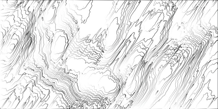 Detailed grayscale contour lines forming a complex abstract pattern with rich tonal variations, evoking a sense of depth and organic structure on a white background