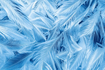 Obraz premium blue frost crystals blooming in fernlike elegance on chilled glass pane serene winter abstraction for desktop wallpaper or banner copy space