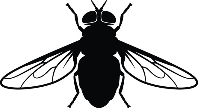 Horsefly Silhouette Vector Illustration on White Background