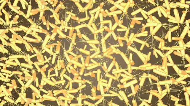 Medical animation of Helicobacter pylori bacteria inside stomach