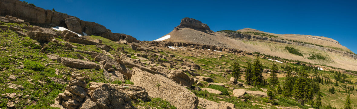 Rocky Path Up To Moose Basin Divide From Owl Creek Trail In Grand Teton