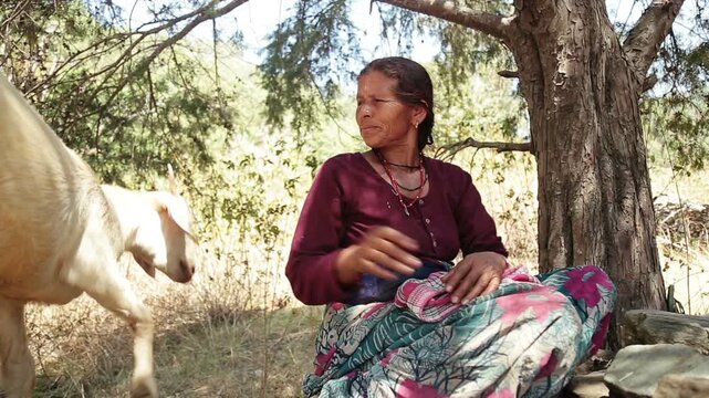 A middle aged Indian village woman feeds and plays with a kid goat outdoors in an Uttarakhand village. The scene reflects poverty, care, animal bonding, and rural mountain life.