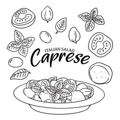 Hand drawn Caprese salad and ingredients doodle illustration