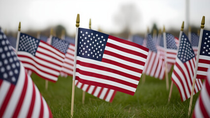 American flags waving on green grass in a patriotic outdoor setting