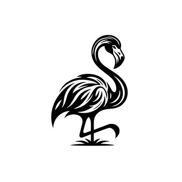 Placeholder image display