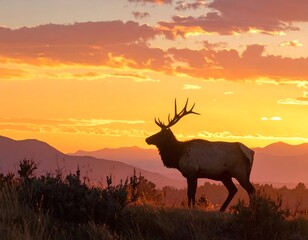A majestic elk silhouette stands on a ridge, illuminated by the vibrant hues of a breathtaking sunset over a mountain range