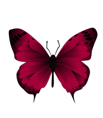 Red butterfly isolated on white © Riki