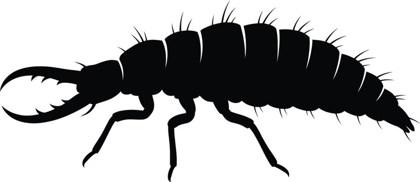 Aphid Lion Silhouette Vector Illustration on White Background