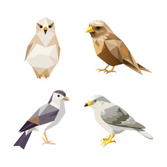 Low Poly Geometric Bird Vector Illustration Set with Owl and Eagle