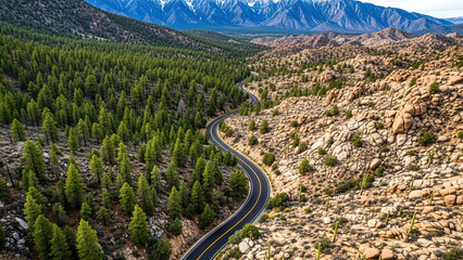 Winding mountain road through desert and forest landscape