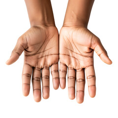 Two open hands with palms facing up, ready to receive or give