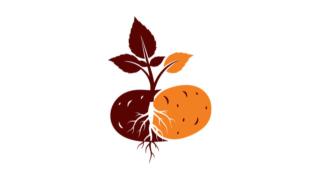 Potato plant sprout with roots and tubers, stylized logo concept