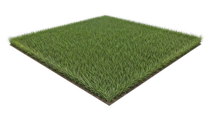 Realistic Square Grass Patch with Transparent Background