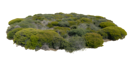 Lush green mossy landscape isolated on transparent background