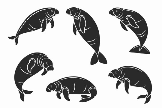 Placeholder image representation