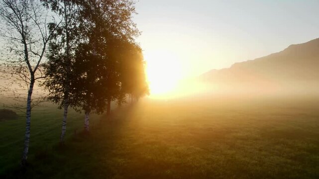 Golden Sunrise Breaking Through Morning Fog in Peaceful Countryside