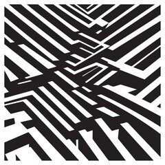 This image features an intricate and mesmerizing pattern composed of intersecting black and white lines.