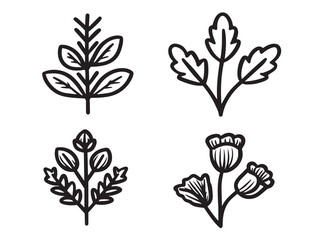 Nice herbs plants line art icons in a lovely minimalist style