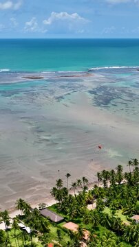 Patacho Beach At Sao Miguel Dos Milagres Alagoas Brazil. Breathtaking Aerial View Of A Lush Tropical Coastline Scenery. Coast Horizon Seaside Summertime. Coast Tropical Environment.