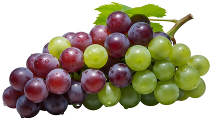 Fresh green and red grapes bunch isolated