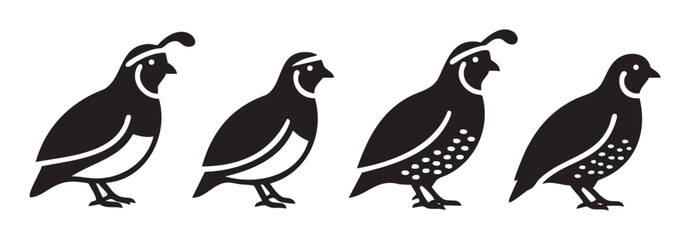 Fototapeta premium Four stylized quail birds standing in a row, showcasing different minimalist designs suitable for emblems, logos, or graphic elements.