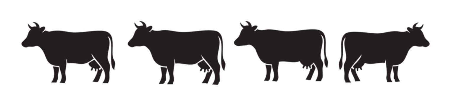 Four black cow silhouettes with udders standing in a row, depicting dairy farming, livestock, and agricultural themes, perfect for various design projects.