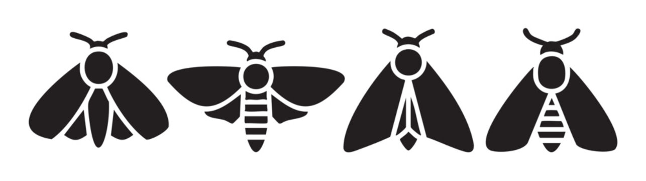 Four distinct black moth insect silhouettes with various wing and body patterns, perfect for nature, entomology, or graphic design projects.