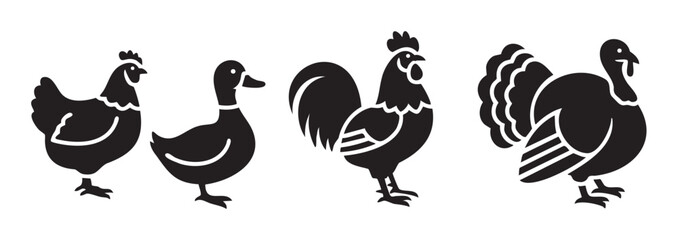 Obraz premium Various farm birds poultry animal silhouettes standing together in a row, representing common domesticated fowl for agricultural and culinary themes.