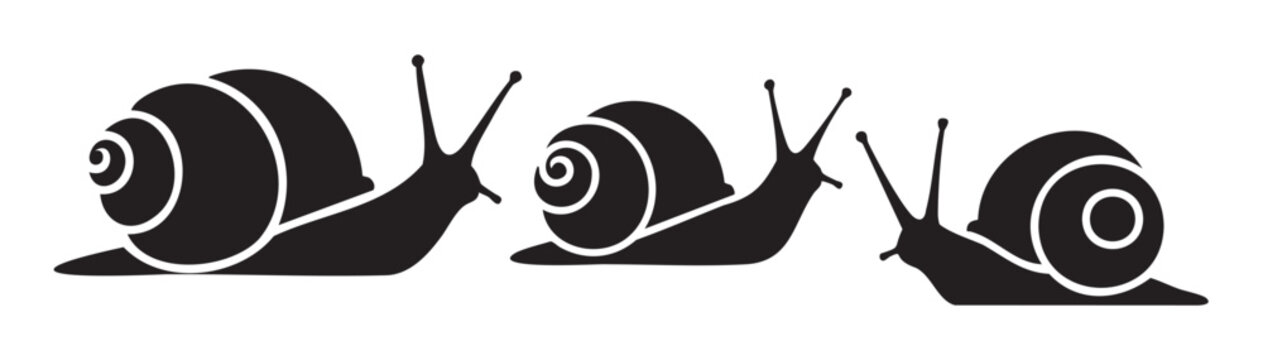 Three black snails with spiral shells slowly moving forward in a row, depicted as simple graphic silhouettes, representing nature and progress.