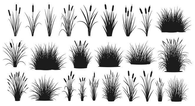 Large set of black silhouettes featuring different varieties of marsh grass, cattails, and reeds for natural landscaping design.