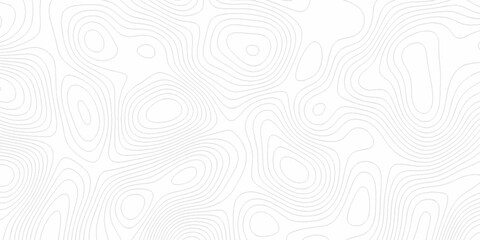 White wave paper curved reliefs abstract background, Abstract topographic contours map background. Black and white lines seamless Topographic map patterns, topography line map. © Elana
