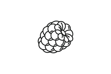 Simple Raspberry Line Art, Outline Style on White Background Berry Icon