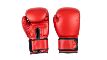Professional Red Boxing Gloves for Combat Sports Training
