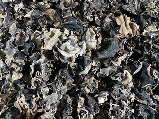 View from above of wood ear mushroom in the market