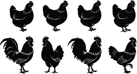 PrintBlack chicken silhouette collection, rooster and hen bird set, farm animal silhouettes, poultry livestock, isolated on white background, vector farm illustration. © Creatives World