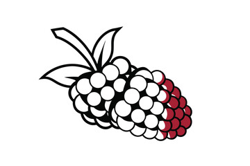 Two Dark Gray Raspberries with Leaves Simple Design on White Background