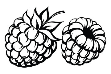 Two monochrome raspberries are pictured closely, with leaves and intricate berry details shown clearly