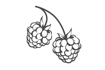 Two Raspberries Hang from Branch, Icon with White Background, Fruit Symbol