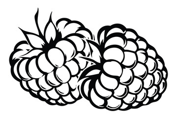 Two stylized blackberries intertwine with elegant leaves shown in a bold black monochrome color scheme