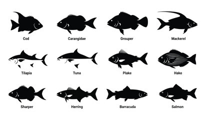 Set of black fish silhouettes with names isolated on white background various species of marine animals