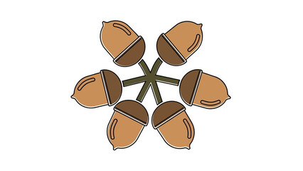 Radial Arrangement of Acorns on White Background © Win