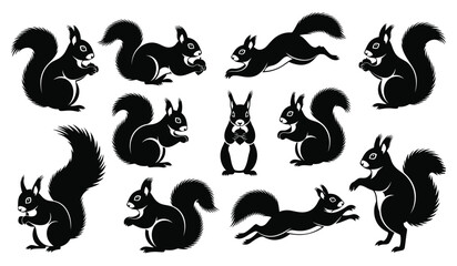 Squirrel vector set. Forest animal silhouette collection. Cartoon squirrels in various poses, eating and running