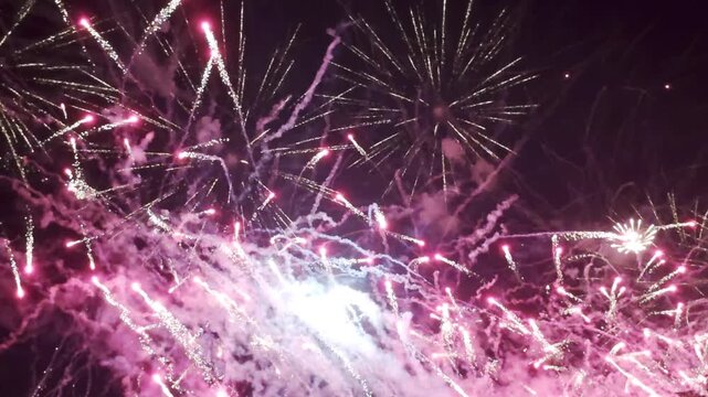 Fireworks celebrate in the sky