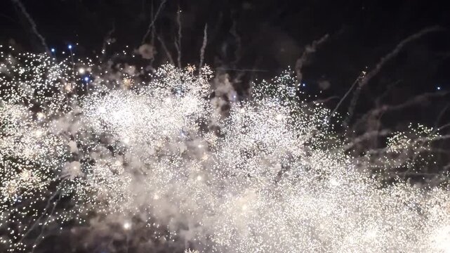 Fireworks celebrate in the sky